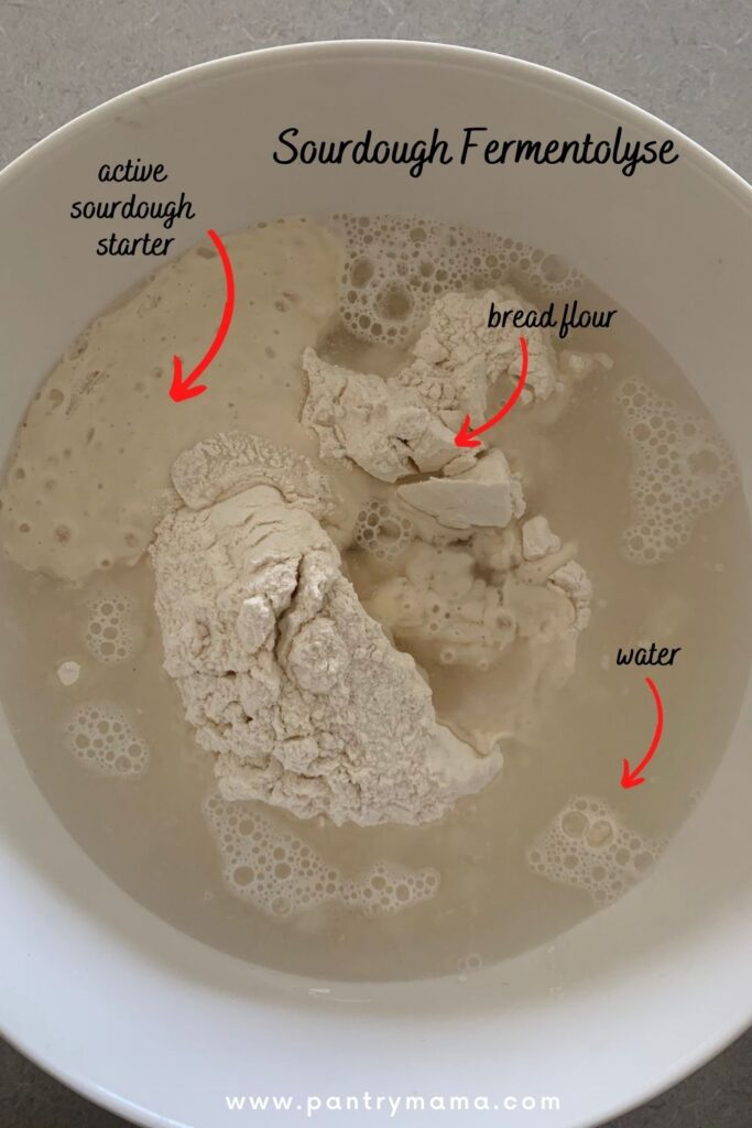 Sourdough Fermentolyse - AUTOLYSE VS FERMENTOLYSE