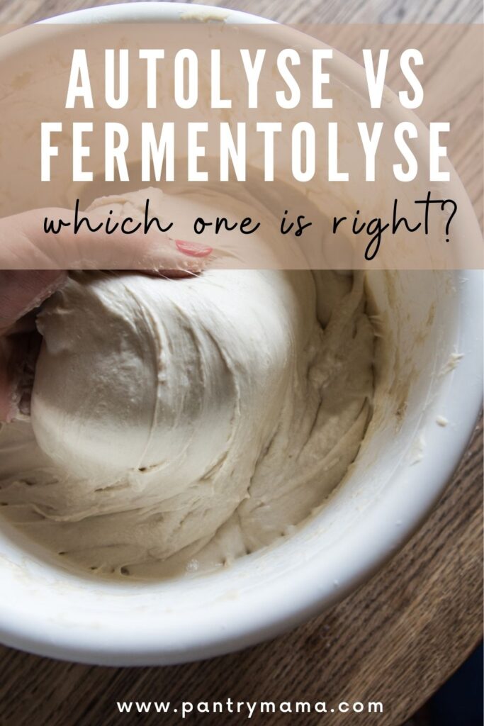 autolyse vs fermentolyse