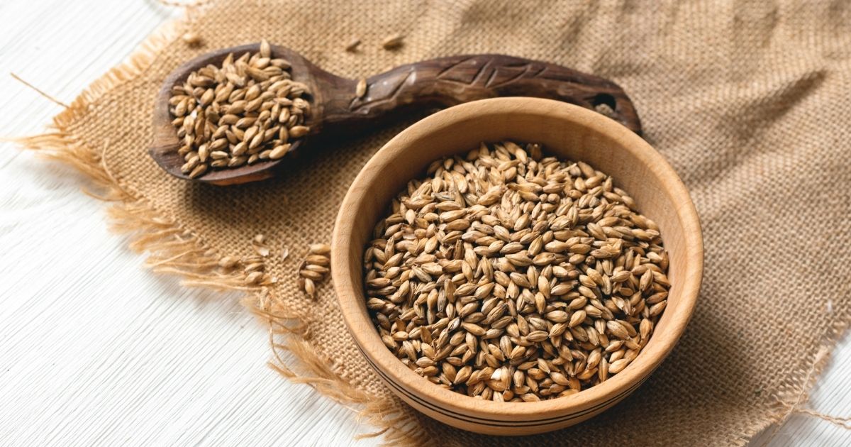 Best Diastatic Malt Powder Substitute 2024 AtOnce