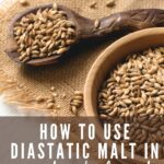 HOW TO USE DIASTATIC MALT POWDER IN SOURDOUGH BREAD