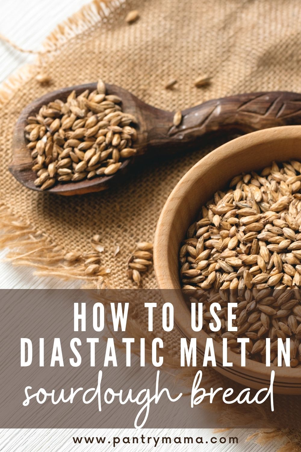 How To Use Diastatic Malt Powder in Sourdough Bread The Pantry Mama