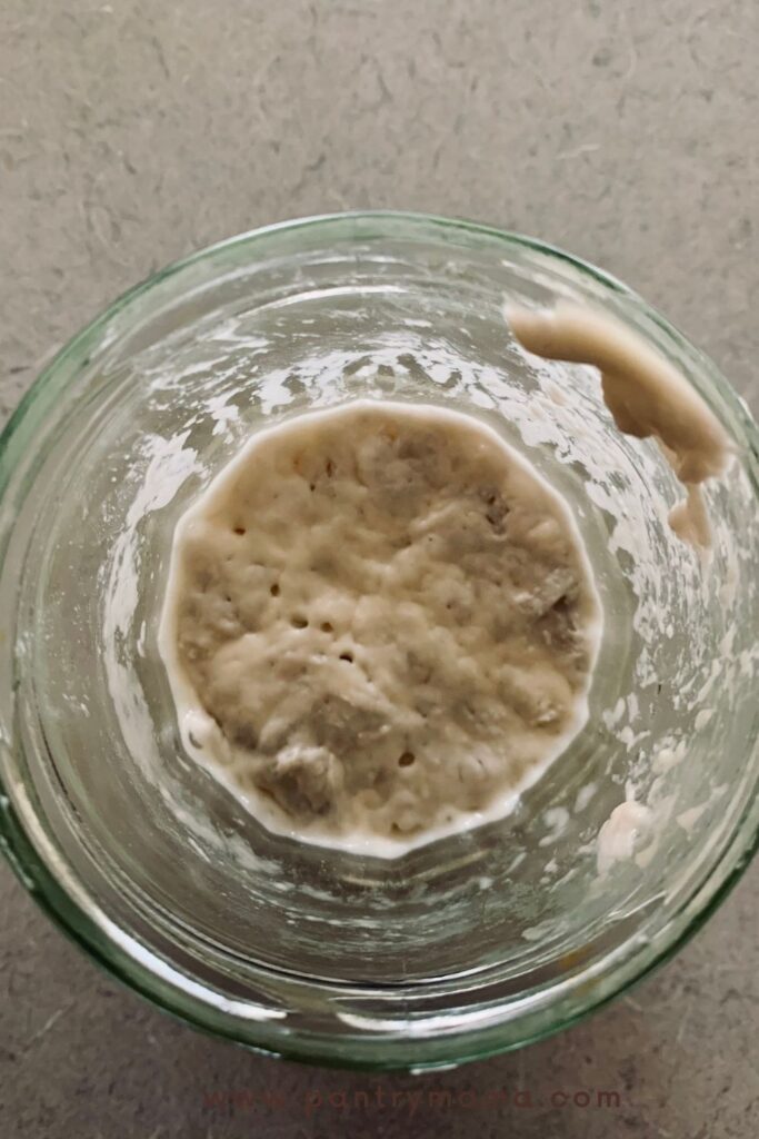 Moldy Sourdough Starter with Photos Of Bad Sourdough Starter The 