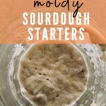 MOLDY SOURDOUGH STARTER PINTEREST