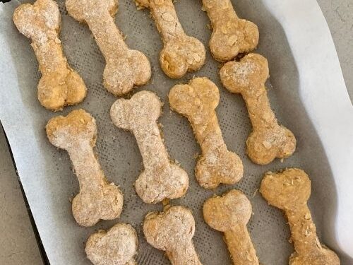 https://www.pantrymama.com/wp-content/uploads/2021/09/SOURDOUGH-DOG-TREATS-500x375.jpg