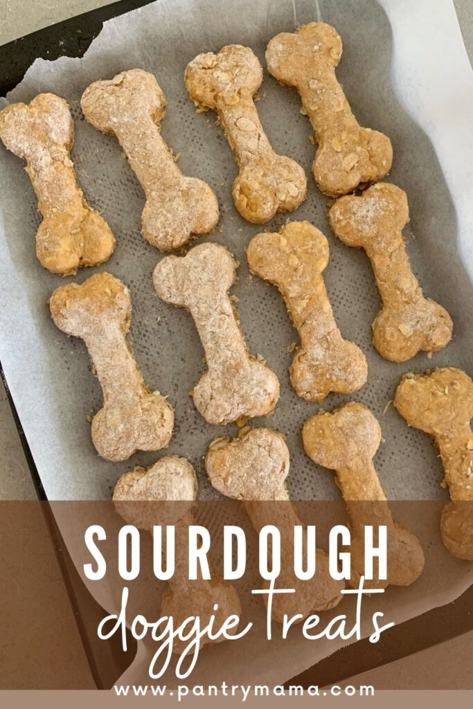 SOURDOUGH DOGGIE TREATS PINTEREST