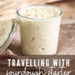 TRAVELLING WITH SOURDOUGH STARTER PINTEREST