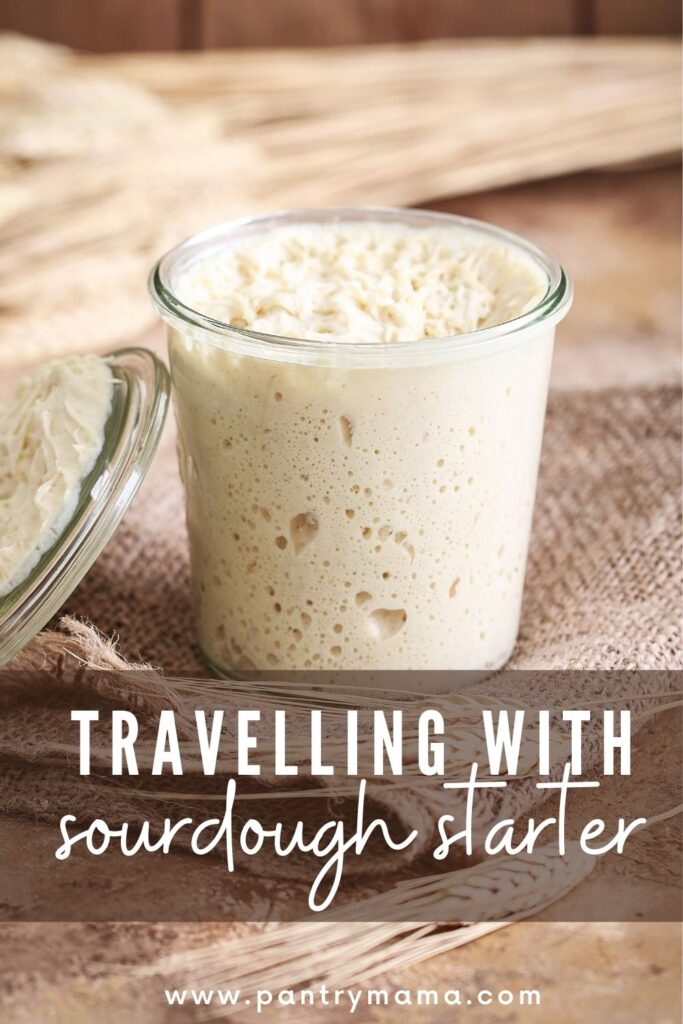 TRAVELLING WITH SOURDOUGH STARTER PINTEREST