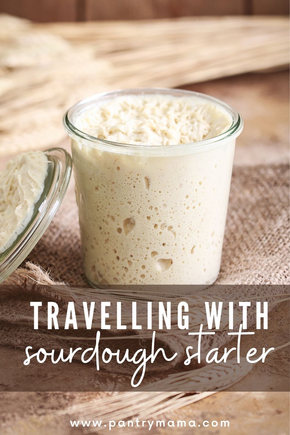 Travelling With Sourdough Starter The Pantry Mama