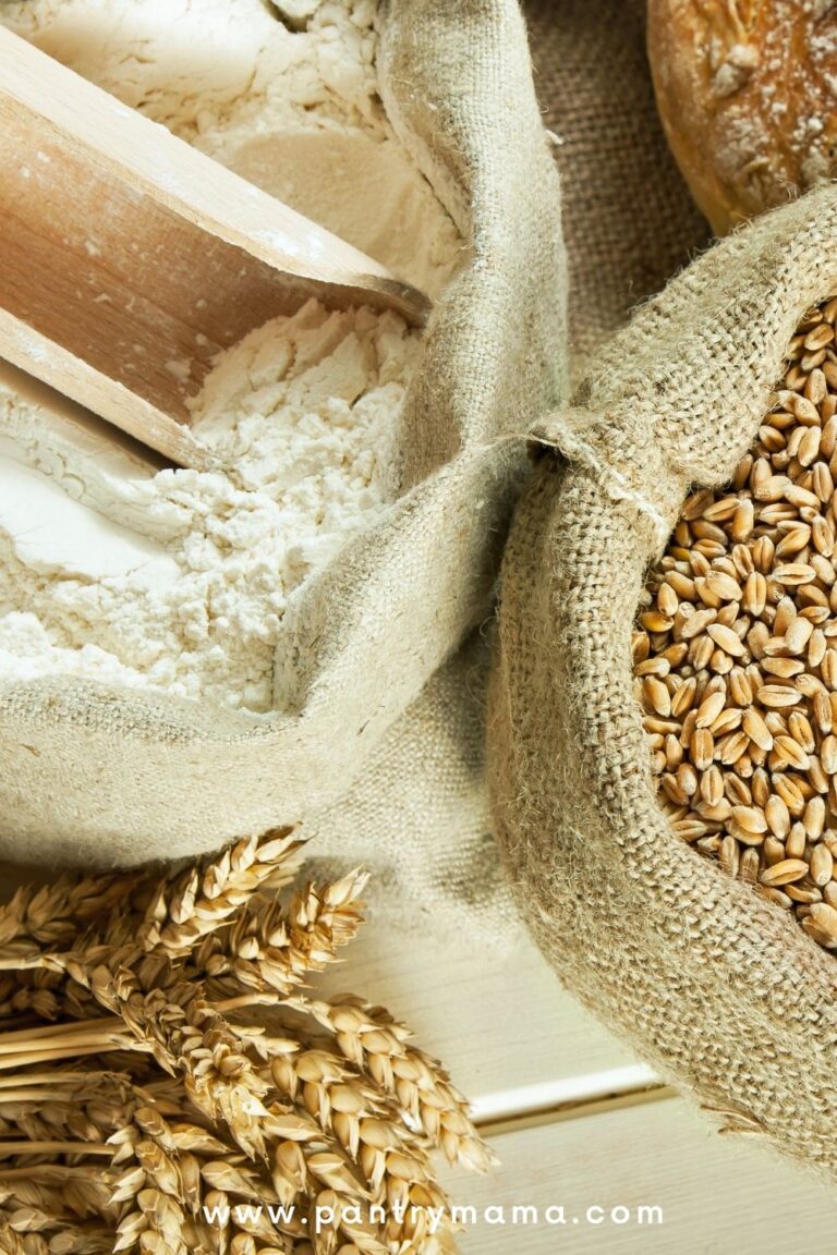 Why Is My Sourdough So Wet & Sticky? The Pantry Mama