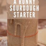 WHY IS MY SOURDOUGH STARTER RUNNY PINTEREST