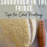 Proofing sourdough in the fridge