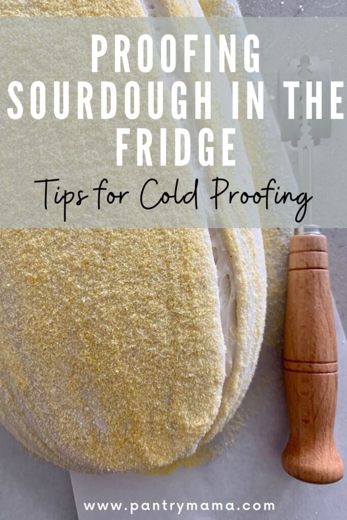 Proofing sourdough in the fridge