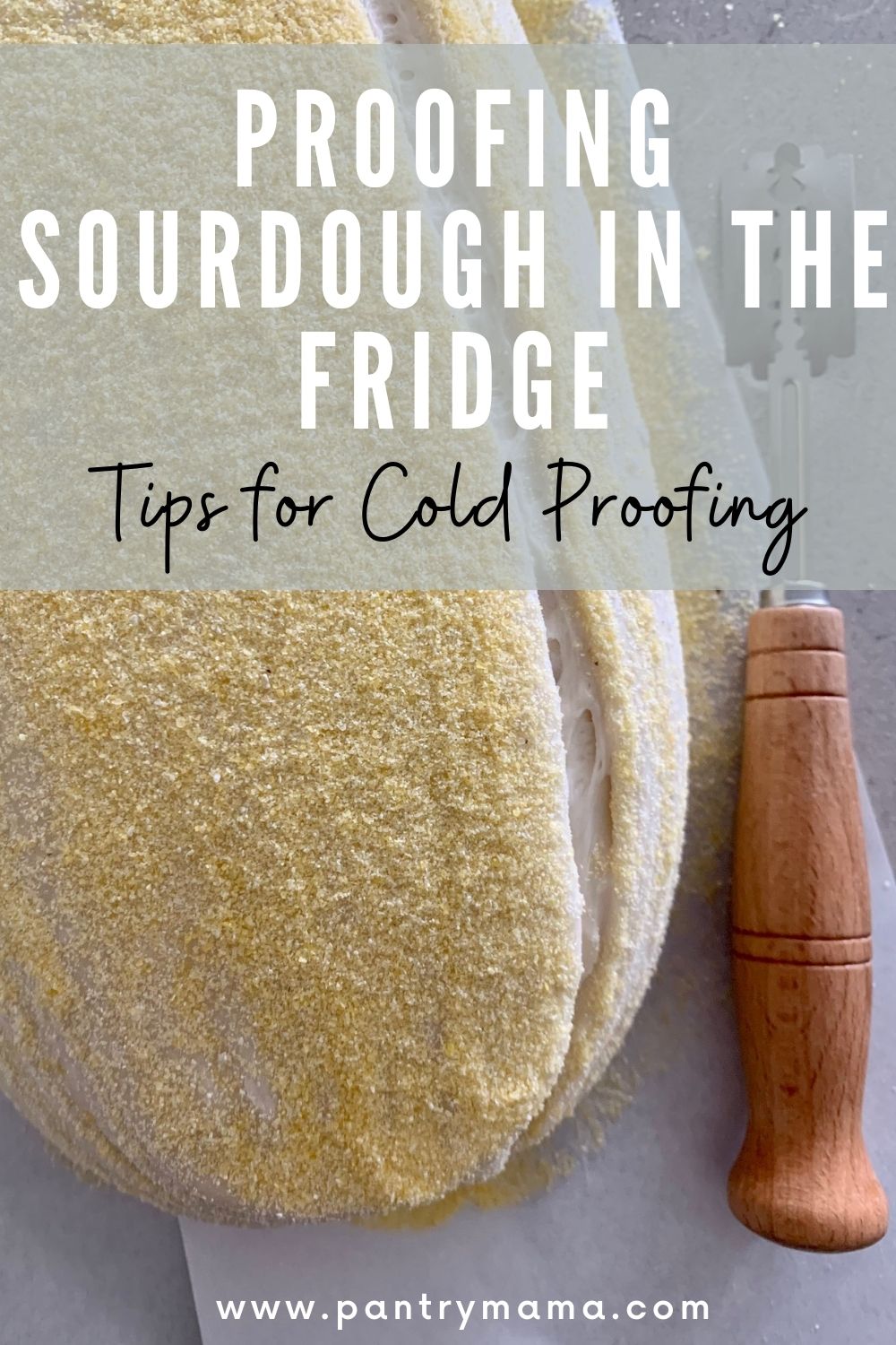 Proofing Sourdough In The Fridge (Cold Proofing Tips) The Pantry Mama