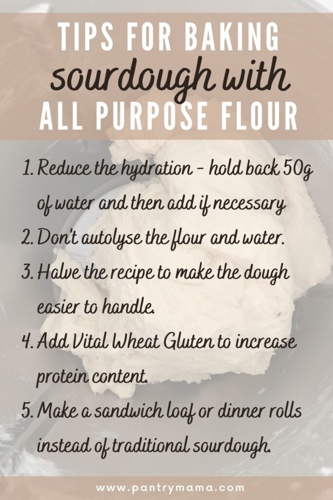 All purpose flour vs bread flour sourdough