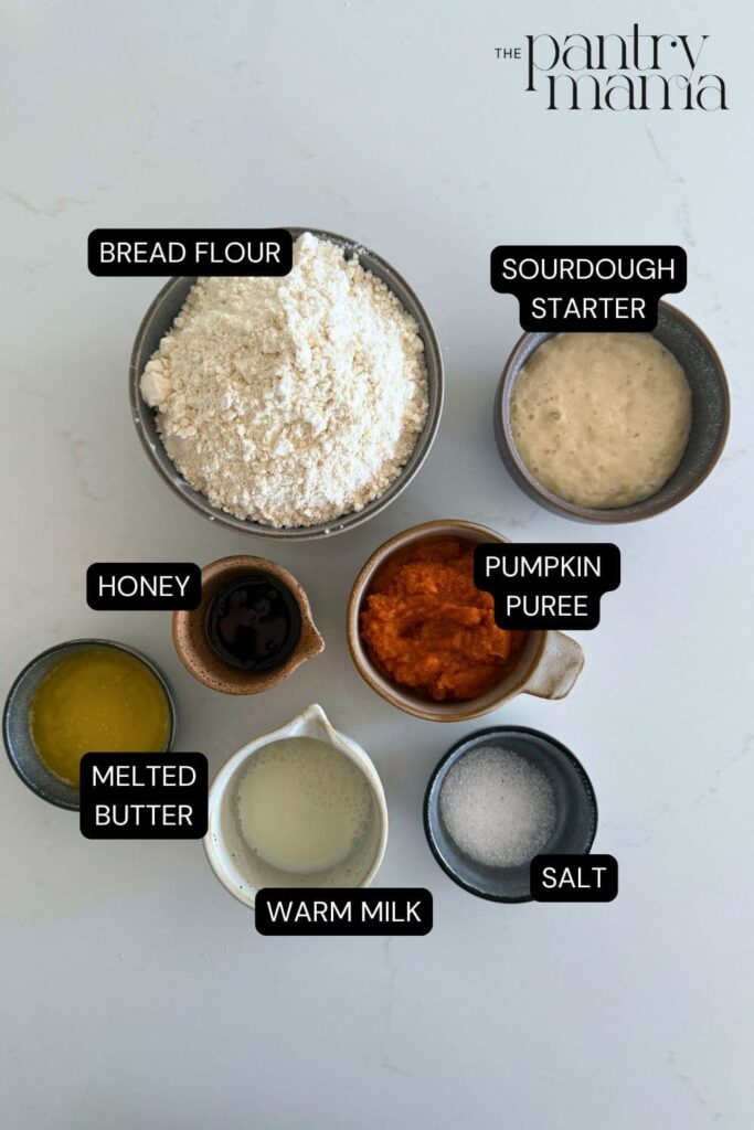 Flat lay of ingredients necessary for making sourdough pumpkin dinner rolls.