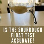 Sourdough float test - pinterest image