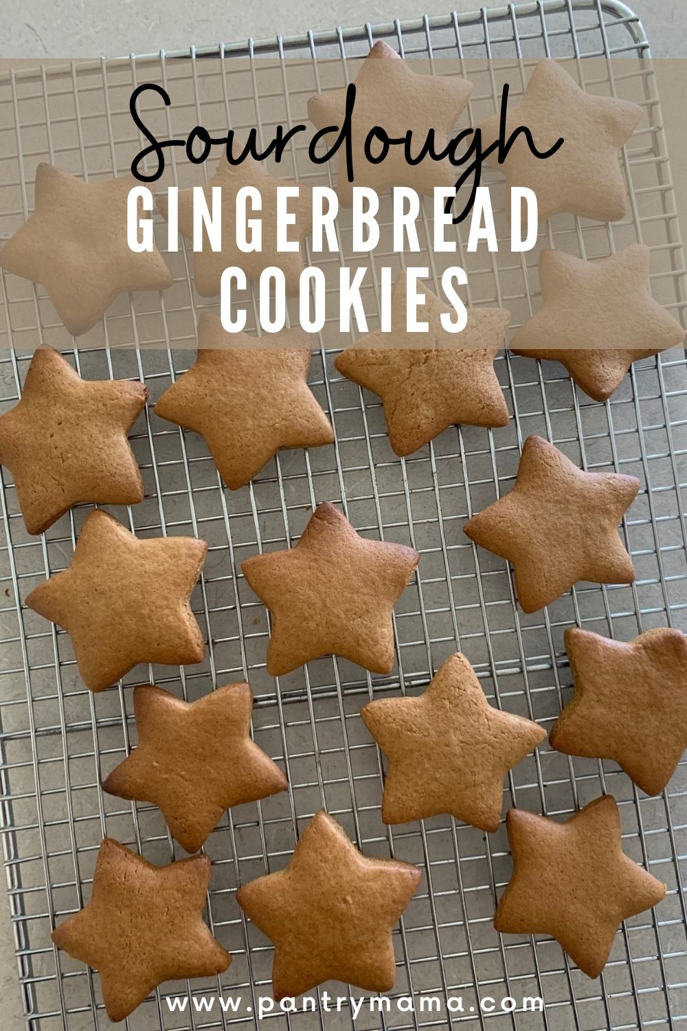 Sourdough Gingerbread Cookies The Pantry Mama