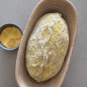 Dough proofing in a banneton - it is coated in semolina flour.