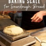 The Best Digital Kitchen Scale – The Bread Guide: The ultimate source for  home bread baking