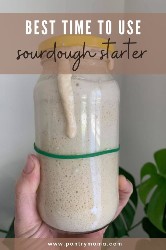 Best time to use sourdough starter - Pinterest Image