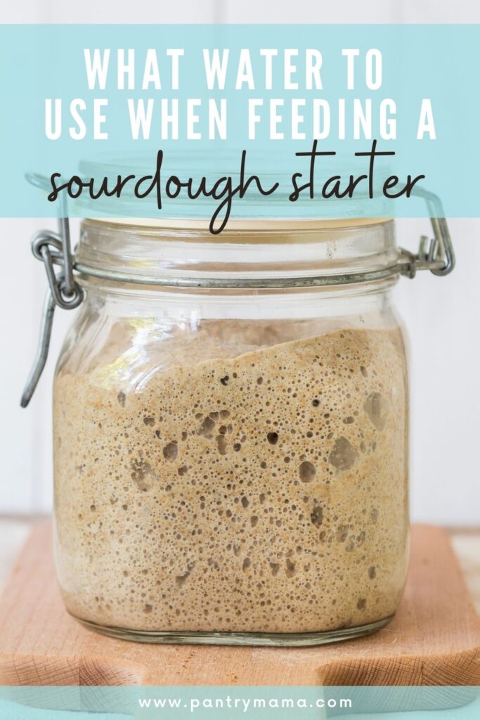 WHAT WATER TO USE FOR SOURDOUGH STARTER - PINTEREST IMAGE