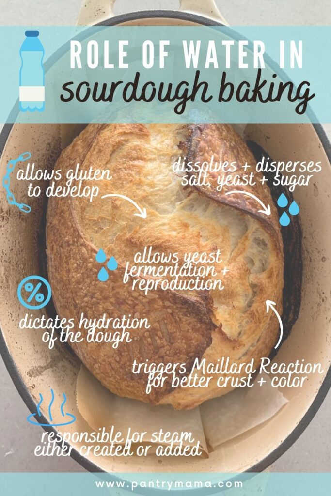 ROLE OF WATER IN SOURDOUGH BAKING - INFOGRAPHIC