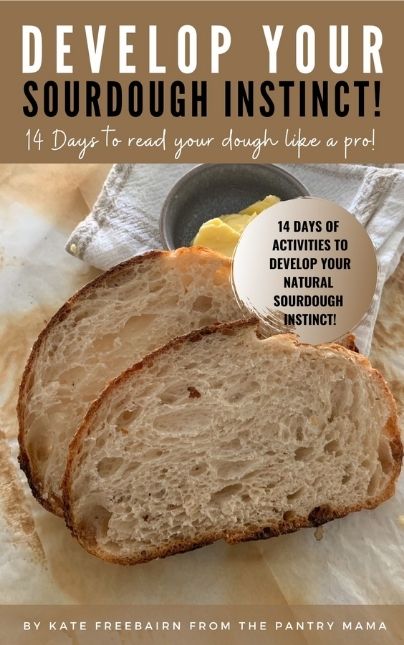 DEVELOP YOUR SOURDOUGH INSTINCT EBOOK COVER - BOOK PAGE