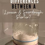DIFFERENCES BETWEEN SOURDOUGH STARTER AND LEVAIN