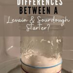 Differences Between A Levain And A Sourdough Starter - The Pantry Mama