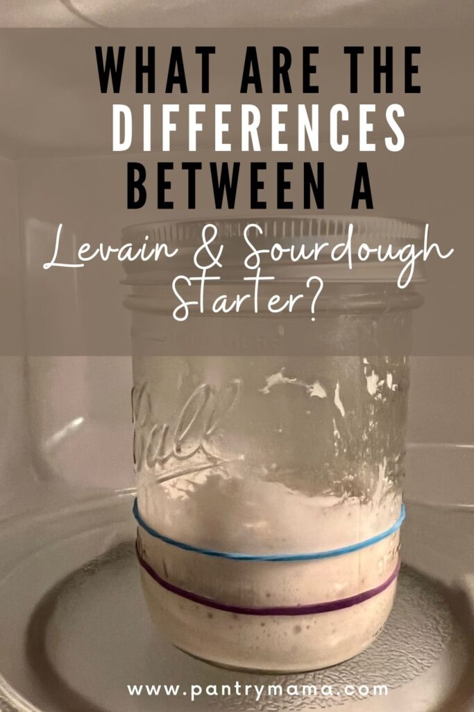 DIFFERENCES BETWEEN SOURDOUGH STARTER AND LEVAIN