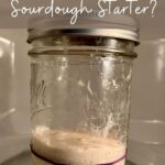 Have I killed my sourdough starter? Social Media Image