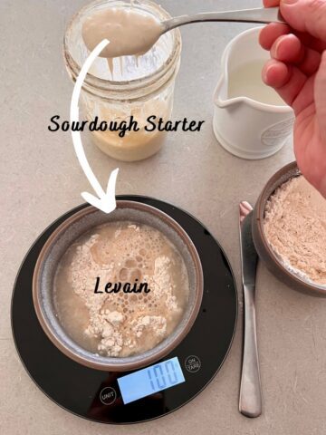 Differences between a levain and a sourdough starter