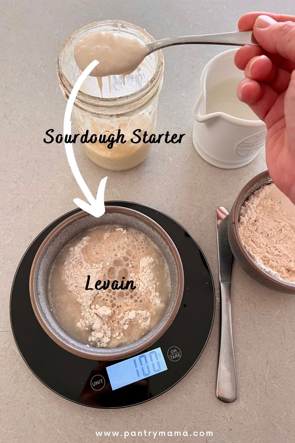 Differences Between A Levain And A Sourdough Starter The Pantry Mama