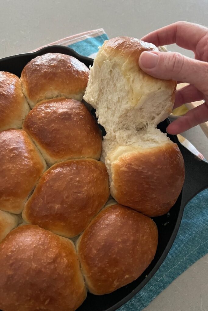 Sourdough Discard Rolls