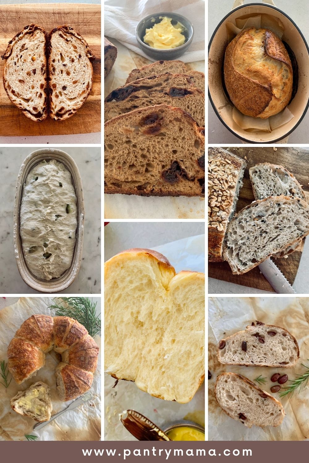 40+ Sourdough Bread Recipes You Must Try - The Pantry Mama