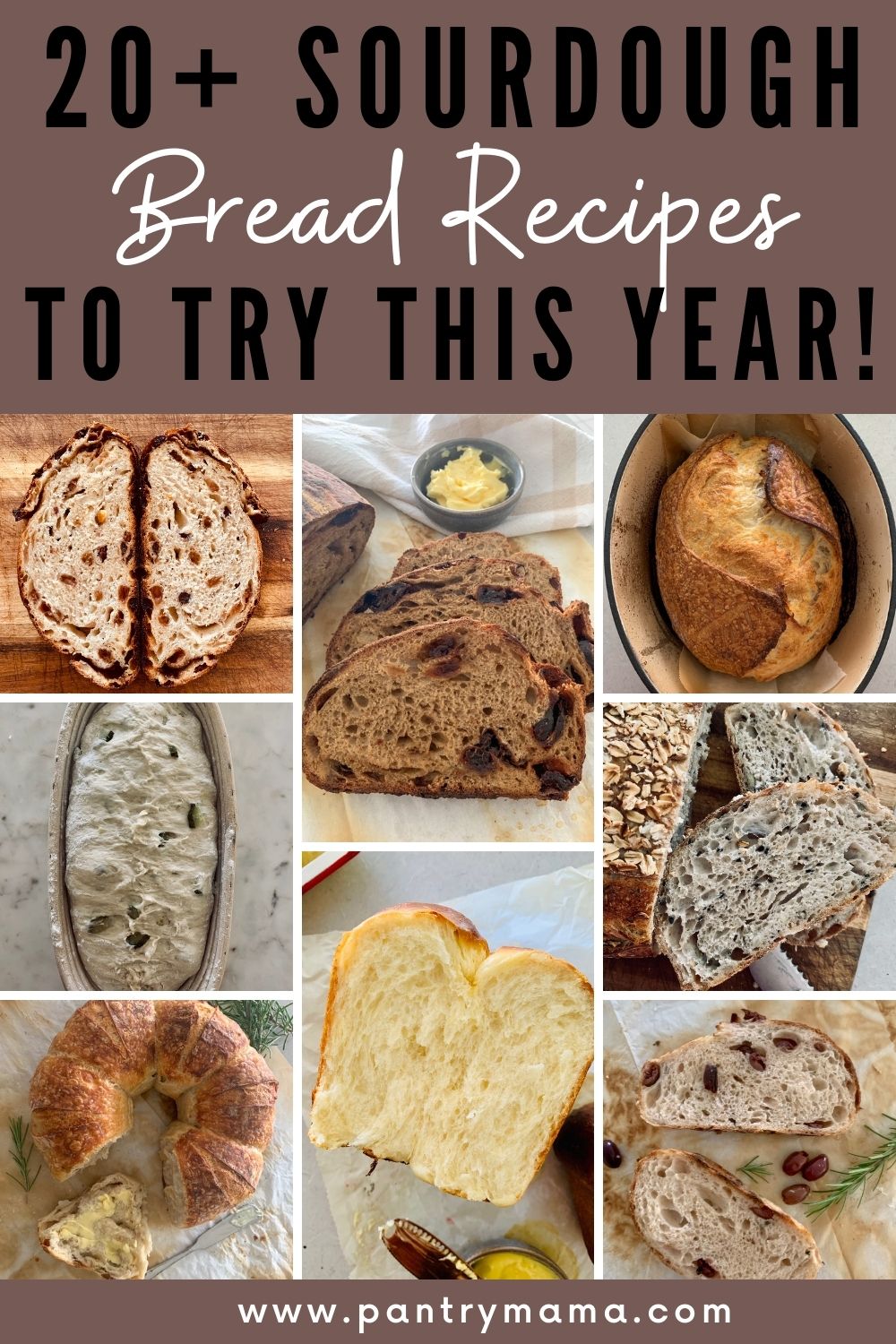 types of sourdough bread recipes