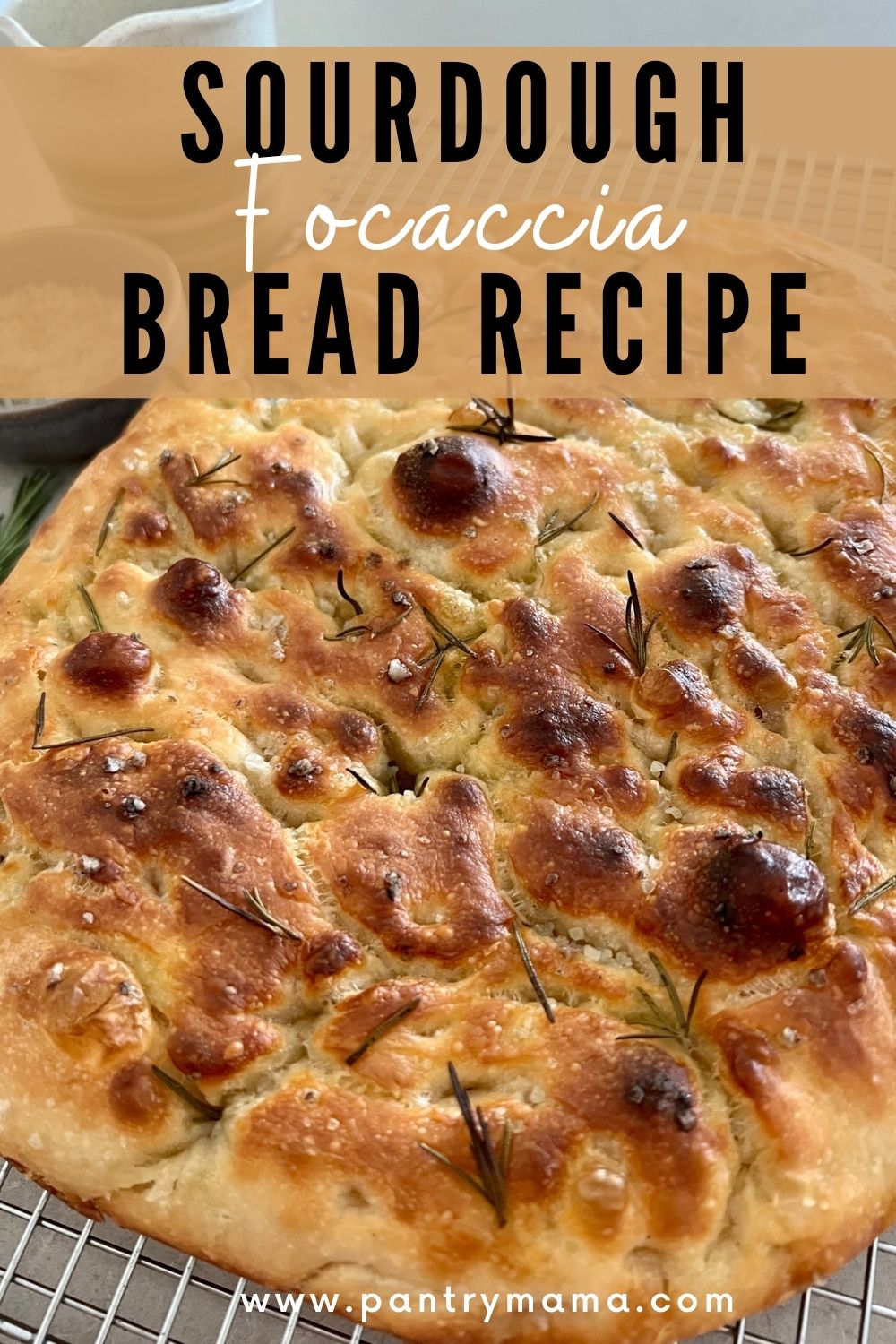 Simple Sourdough Focaccia Bread [bubbly + delicious] The Pantry Mama