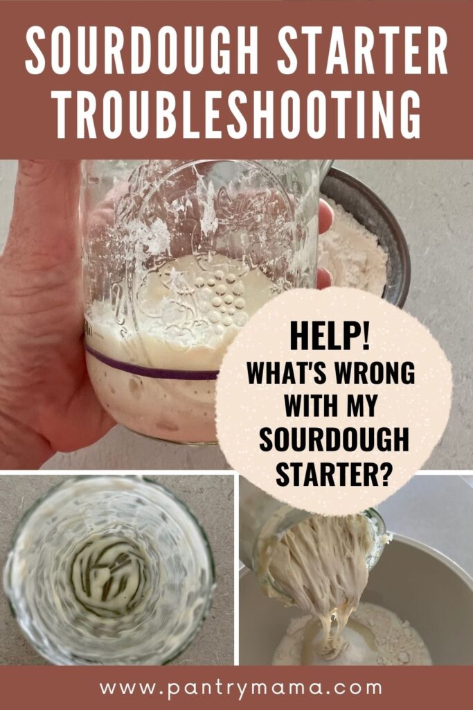 Sourdough Starter Troubleshooting - Pinterest Image