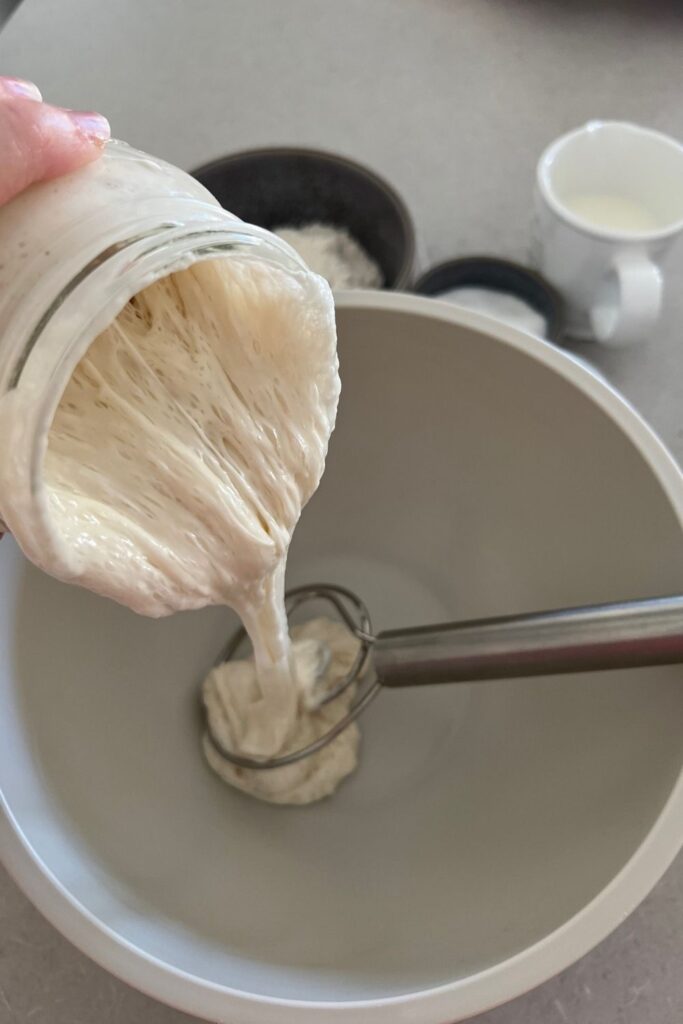 Pouring active sourdough starter into a mixing bowl that has a Danish Whisk resting in the bowl. The super active starter is required for this sourdough baguette recipe.