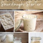 BEST JAR FOR SOURDOUGH STARTER - PINTEREST IMAGE