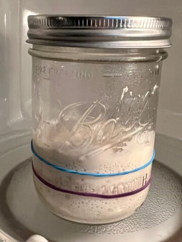 Best jar for sourdough starter - Ball Jar with silver lid has half volume of sourdough starter. There are two elastic bands showing the levels of the sourdough starter in the jar.