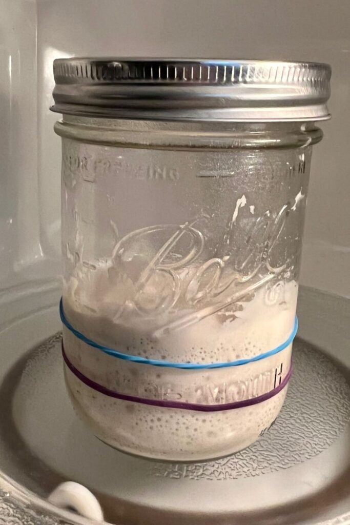 Best jar for sourdough starter - wide mouth ball jar with sourdough starter in it. Rubber bands mark the level of the sourdough starter.