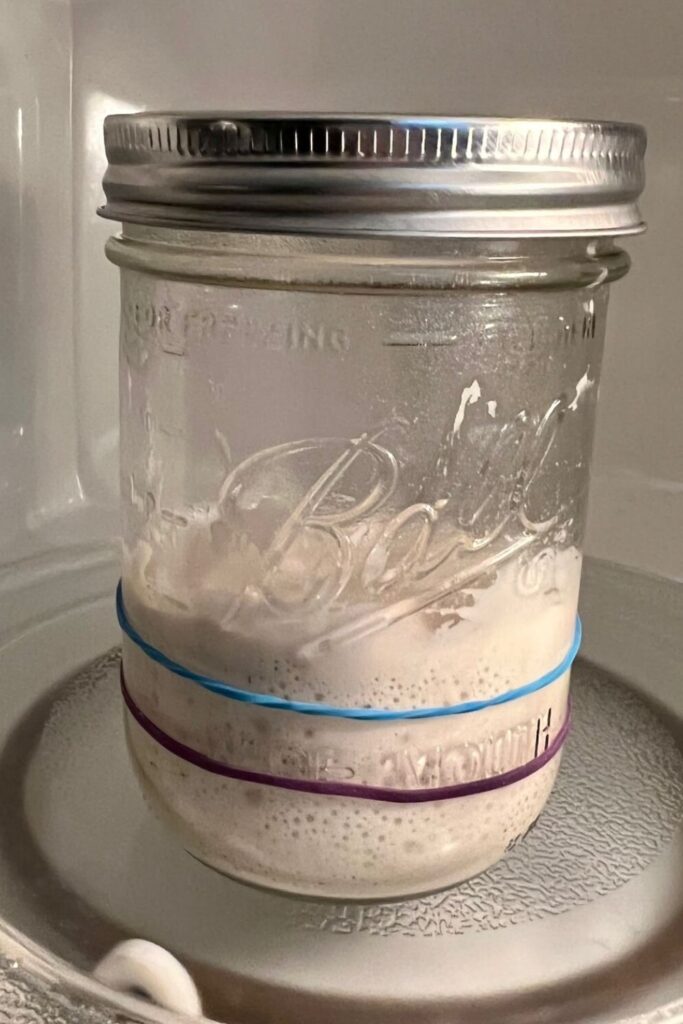 Best jar for sourdough starter - wide mouth ball jar with sourdough starter in it. Rubber bands mark the level of the sourdough starter.