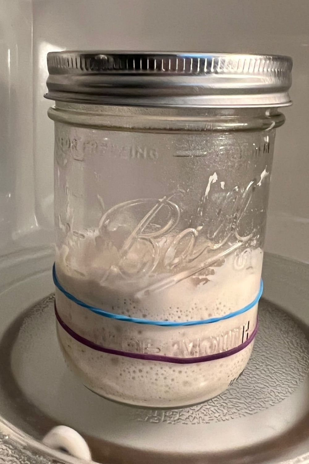 Best Jar For Sourdough Starter [guide to sourdough starter containers] -  The Pantry Mama