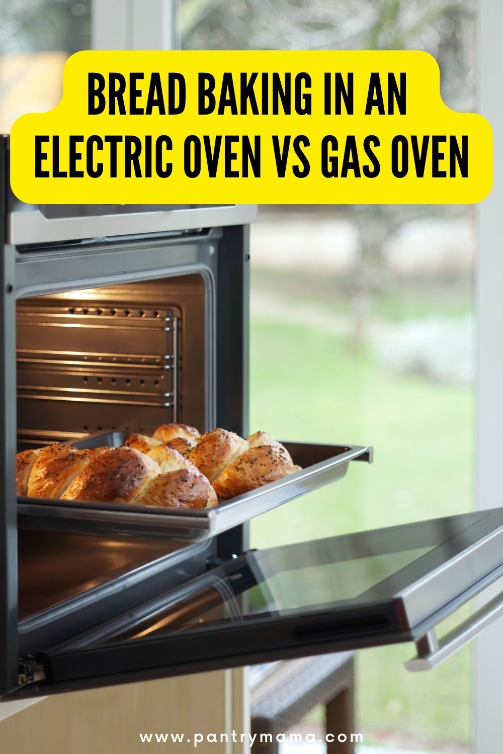 Gas vs. Electric Stoves: Which is Better?