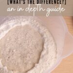 DIFFERENCE BETWEEN POOLISH AND LEVAIN - PINTEREST IMAGE