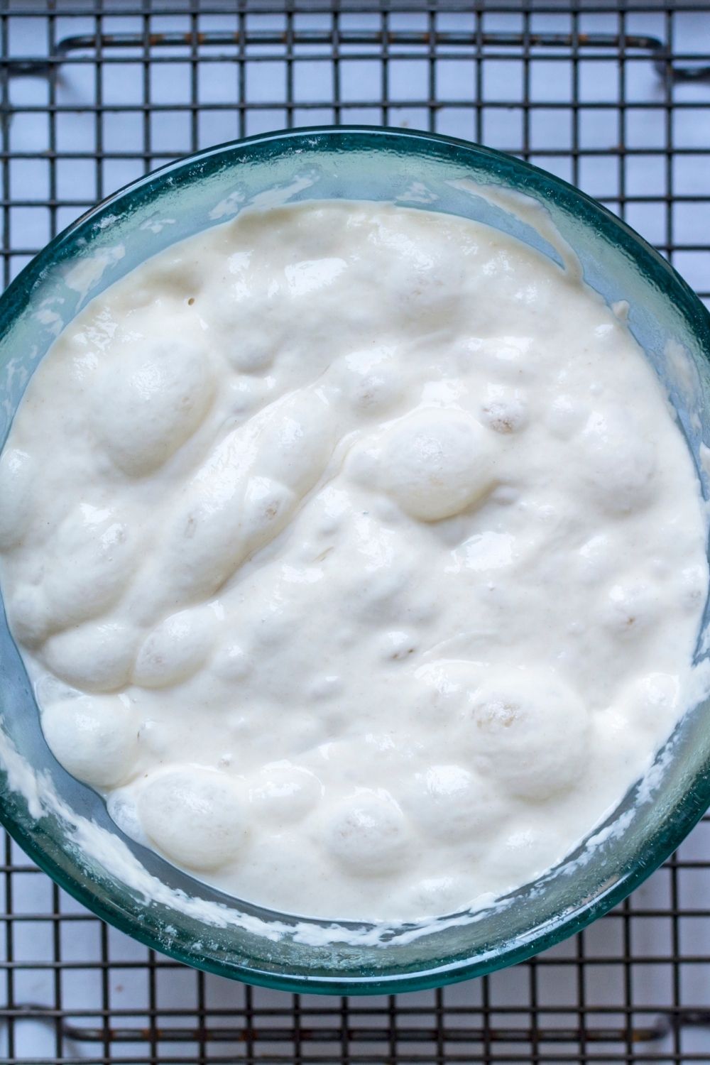Ready poolish