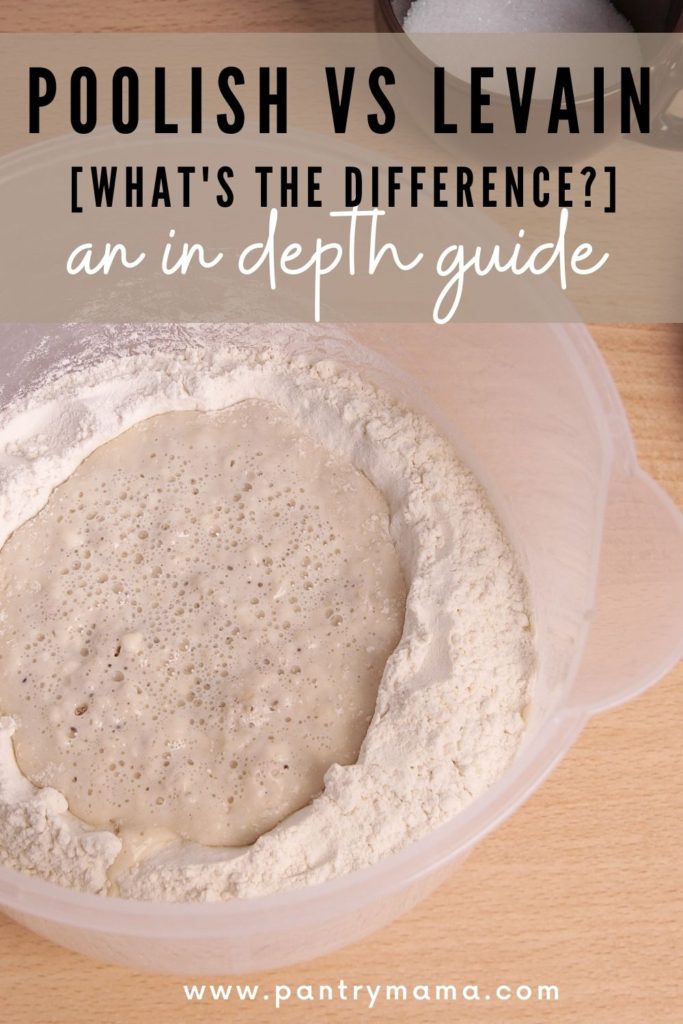 DIFFERENCE BETWEEN POOLISH AND LEVAIN - PINTEREST IMAGE
