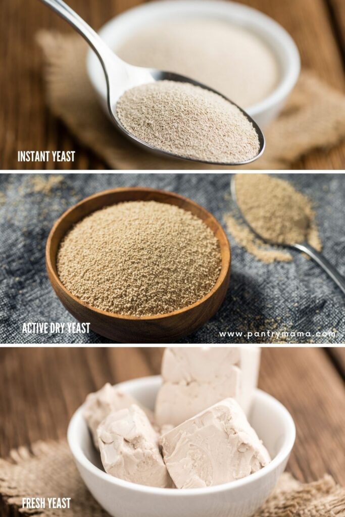 Photo shows 3 types of commercial yeast - instant yeast, active dry yeast and fresh yeast.