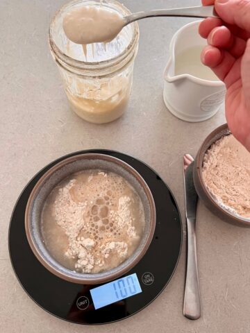 HOW TO FEED A SOURDOUGH STARTER